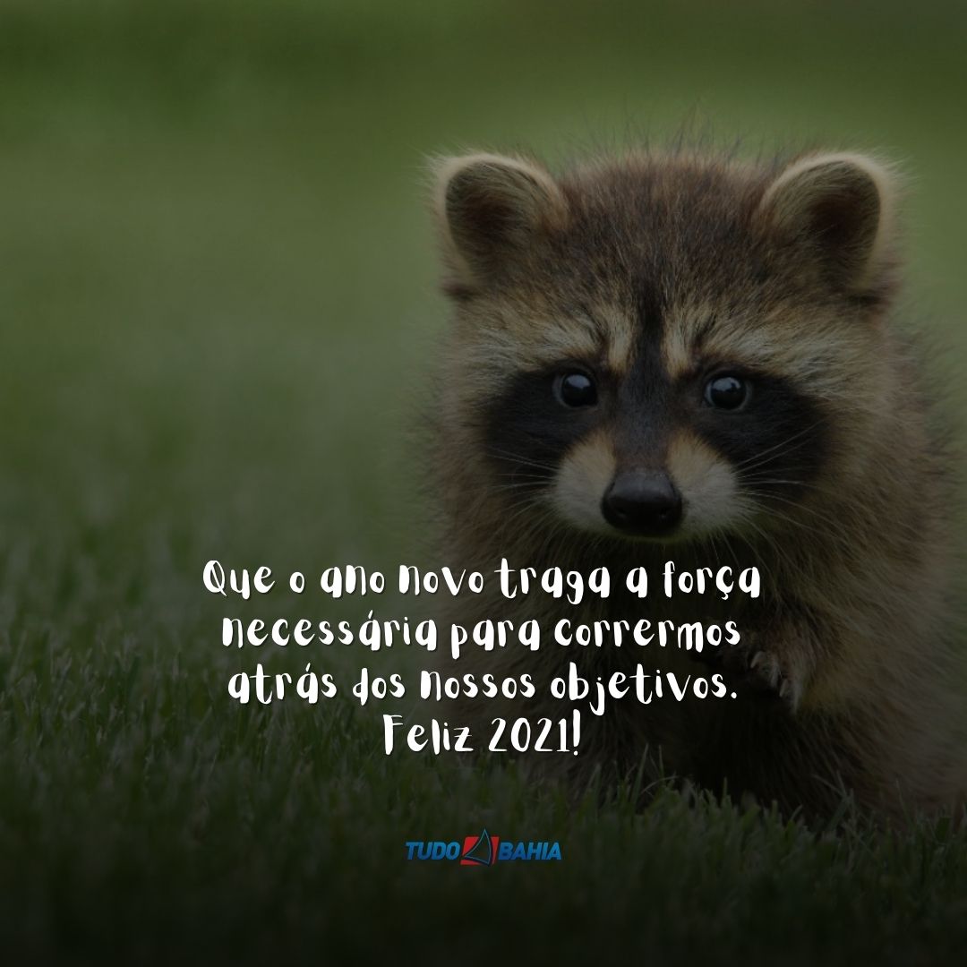 mensagens de ano novo mensagem de felicidades energia alegria whatsapp