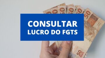Lucro FGTS: saiba consultar valor na conta e entenda quando é possível sacá-lo