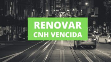 Nova lei de trânsito altera validade da CNH e limite de pontos; entenda