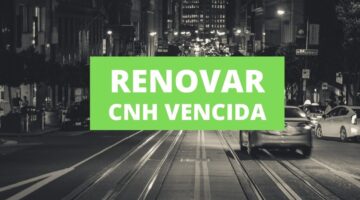 Como renovar CNH vencida por meio de aplicativo? Saiba aqui