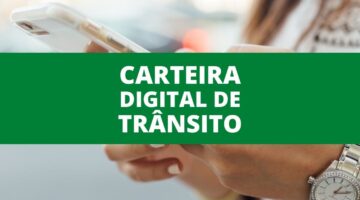 Carteira Digital de Trânsito: saiba como gerar o documento no app