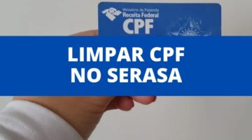 Como limpar seu CPF no Serasa? Confira o passo a passo