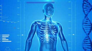 Por que a pressão arterial geralmente cai em época de calor?