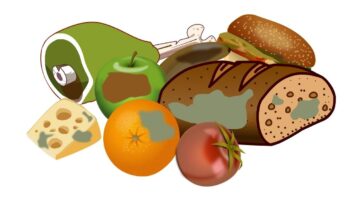 É seguro comer alimento depois de retirar a parte com mofo? Entenda
