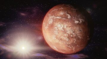 Uma “flor” foi realmente encontrada em Marte? Entenda