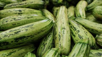 Abobrinha fortalece o corpo; confira 7 benefícios do vegetal para a saúde
