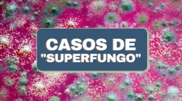 Novo caso de “superfungo” no país é confirmado pela Anvisa; entenda