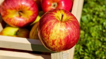 5 alimentos que podem reduzir o desconforto causado pela azia