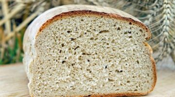 Fica fofinho! Aprenda como fazer pão caseiro no liquidificador
