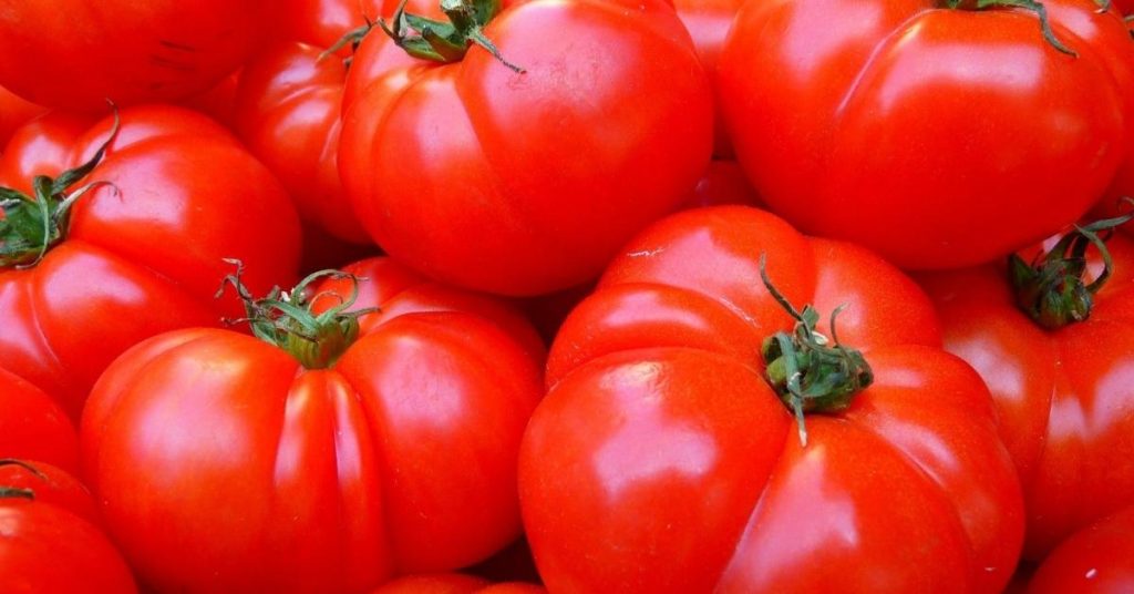 como escolher tomate no mercado