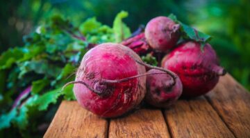Beterraba é rica em vitaminas A, B e C; confira benefícios do vegetal