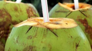 Água de coco hidrata e ajuda na digestão; veja outros 5 benefícios