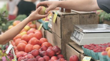 Entenda a diferença entre atacado e varejo