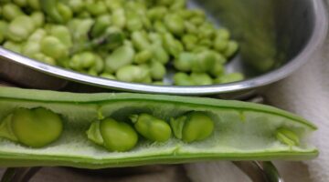 5 alimentos que podem ajudar na cicatrização de machucados