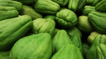 Chuchu: confira 5 benefícios desse vegetal que você precisa conhecer