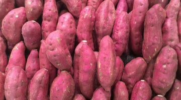 Batata-doce faz bem para o quê? Confira 7 dos principais benefícios