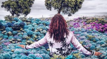 Com estas 3 dicas, você conseguirá atrair boas energias para sua vida