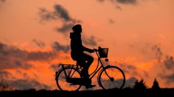 Afinal, quais são os exercícios físicos que mais queimam calorias?