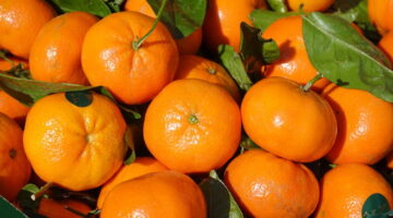7 alimentos poderosos que ajudam a aumentar as plaquetas do seu corpo