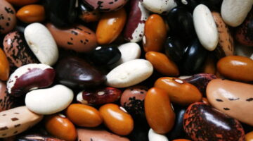 Estes 5 alimentos precisam ficar de molho antes do preparo e você não sabia