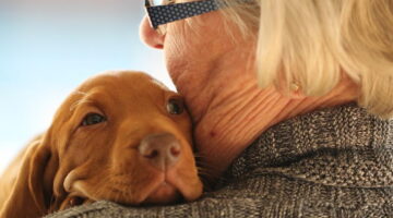 Demência em cachorros é real: veja 5 sinais e saiba como identificar