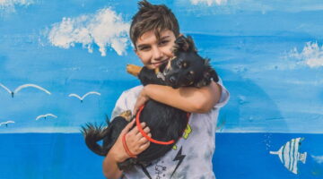 Como ganhar a confiança de um cachorro? Veja 5 dicas infalíveis