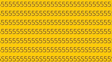 Desafio do mês de maio: descubra quantas letras “S” aparecem NESTA imagem