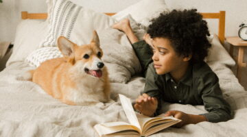 Piores raças de cachorros para dormir na mesma cama; veja top 5