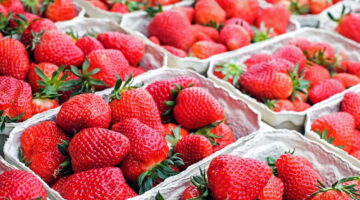Rótulos de alimentos são alterados pela Anvisa; o que muda na prática?