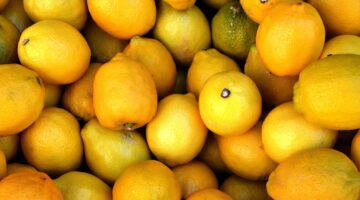 Como conservar limões para que eles durem por mais tempo? Entenda