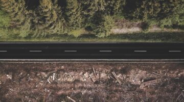 Estas 5 paisagens mudaram muito com o passar do tempo; veja a lista