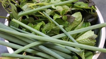 Quais são os benefícios do cheiro verde para a sua saúde? Veja 5 deles