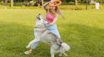 Amam correr: 5 cachorros perfeitos para te acompanhar nas caminhadas