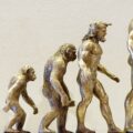 6 sinais da Evolução que você pode ver em seu corpo