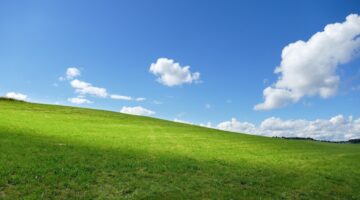 Você sabe como surgiu o famoso papel de parede do Windows XP?