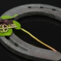 O talismã da sorte de cada signo do zodíaco