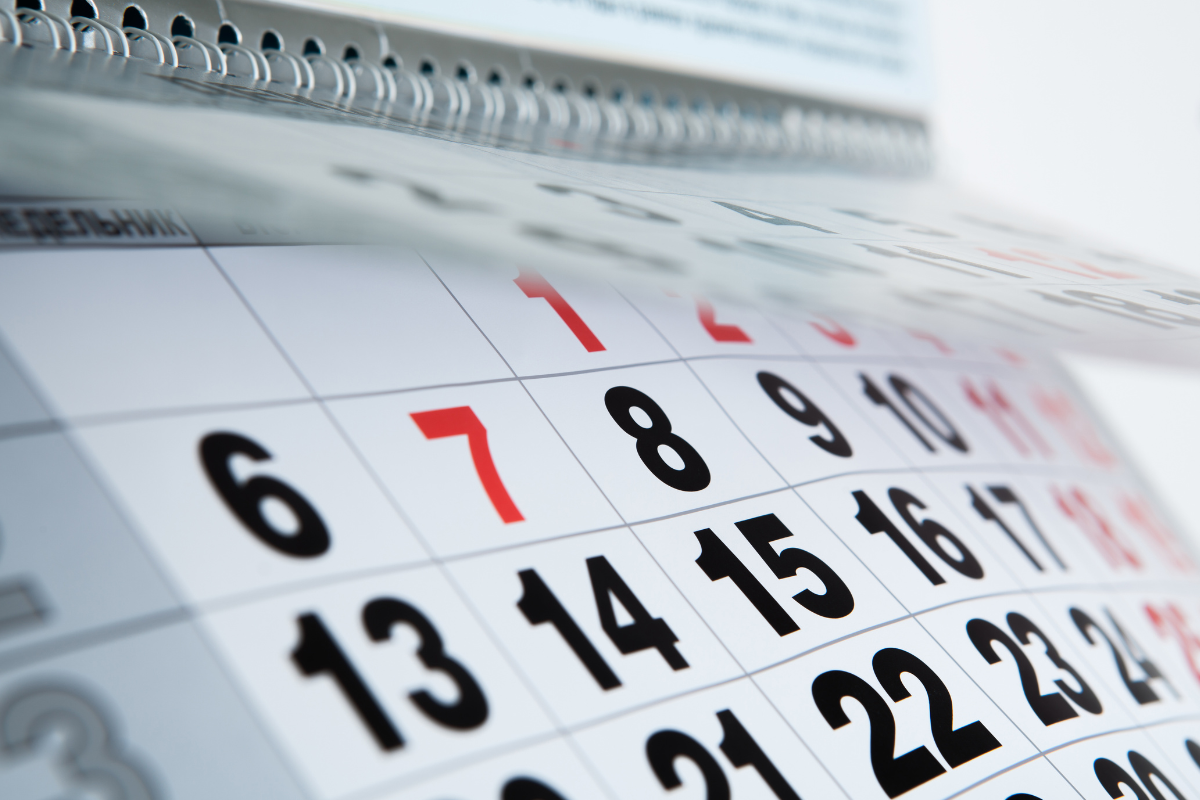 Calendário PIS 2024: veja como consultar e datas de recebimento por mês de nascimento
