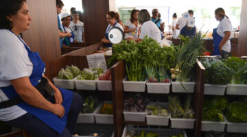 Estas são as opções de empréstimos para agricultura familiar oferecidas pelo governo