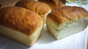 Saiba como fazer pão caseiro fofinho no liquidificador