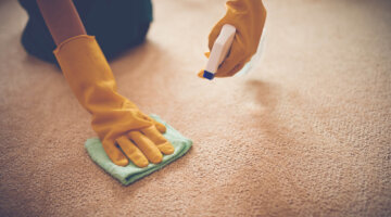 6 dicas profissionais para limpar e cuidar de tapetes e carpetes