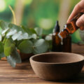 Como cultivar ervas aromáticas em casa