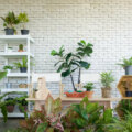 7 dicas essenciais para escolher as plantas perfeitas para o seu jardim