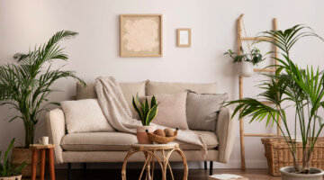 Ideias criativas para incorporar plantas na decoração