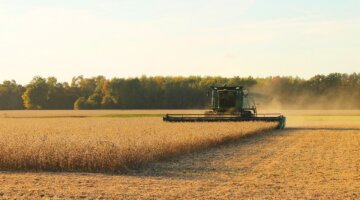 Bahia lidera exportações do agronegócio no Nordeste